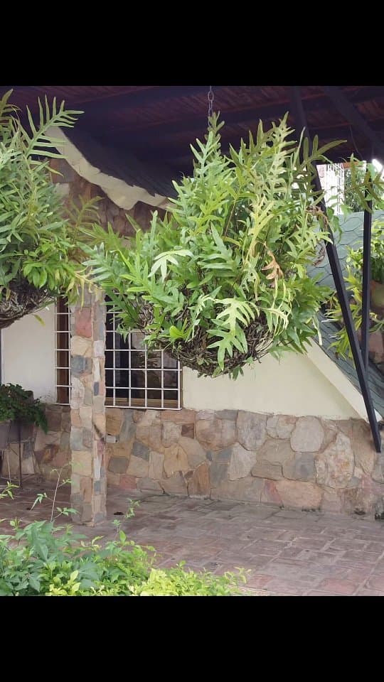 Casa tipo chalet en San Diego, Las Morochas 3